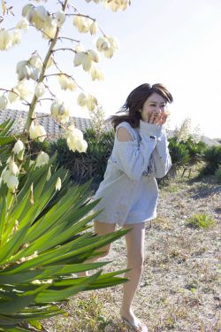 单身男女视频在线观看